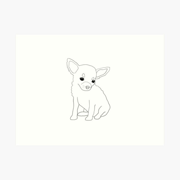 Chihuahua Puppy Drawing Art Print By Cassidycapri Redbubble