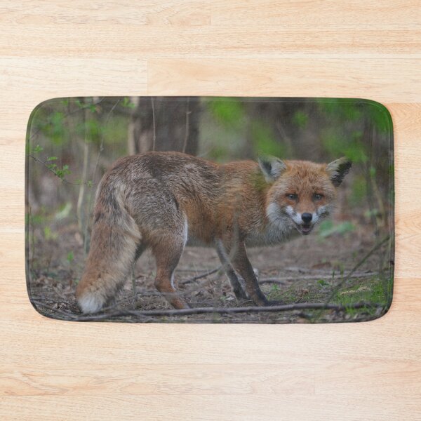 Item preview, The Early Fox designed and sold by ClaireChown.