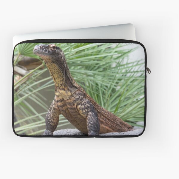 Dragon Laptop Sleeve