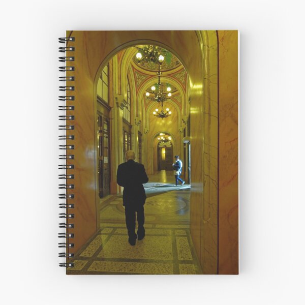 Item preview, The Great Synagogue, Pest, 19 designed and sold by Priscilla Turner.