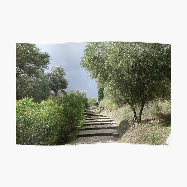 The path ahead Poster