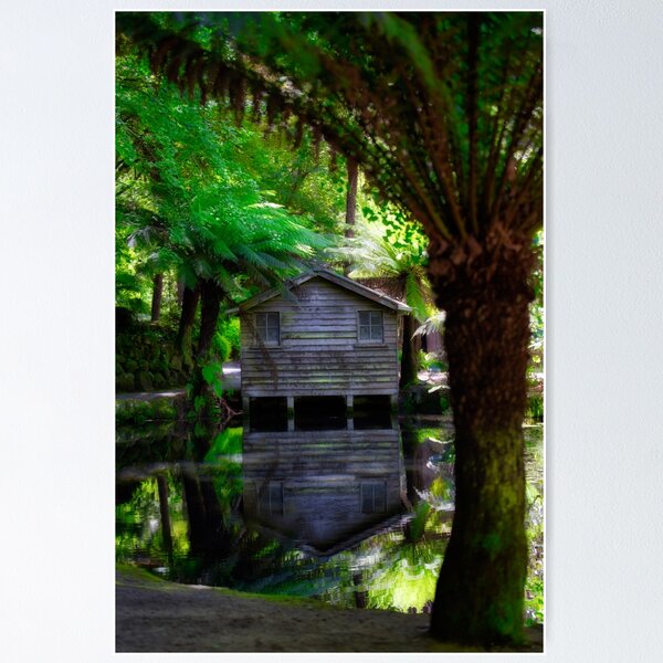 Item preview, Reflections of a beautiful abandoned cottage surrounded by trees and foliage designed and sold by DesignBoard Photography.
