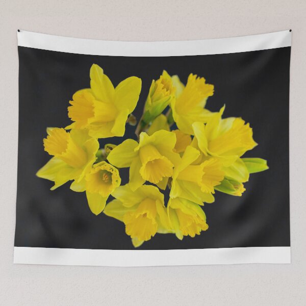 Item preview, Sunshine designed and sold by Sonja Martin Photography.