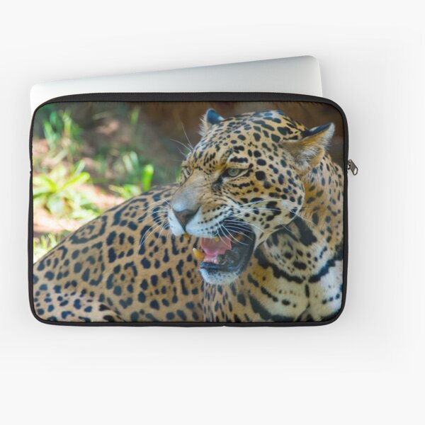 Old Spots Laptop Sleeve