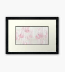 Softness Framed Print