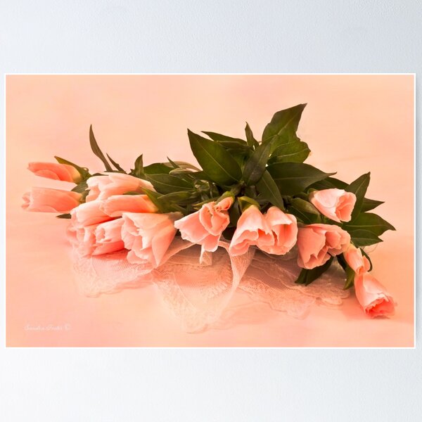 Item preview, Peach Godetia's And Lace  designed and sold by Sandra Foster.