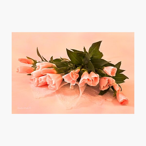 Item preview, Peach Godetia's And Lace  designed and sold by Sandra Foster.