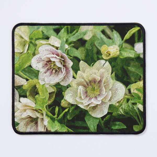 Item preview, White and Green Hellebore Blooms Painterly designed and sold by mljdwhite.