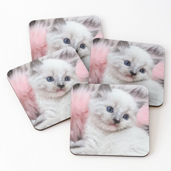Item preview, Ragdoll kitten  designed and sold by Fluffycat2020.