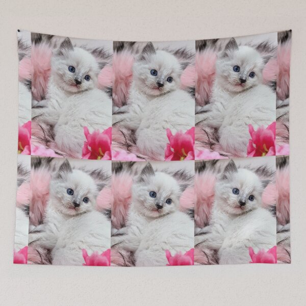 Item preview, Ragdoll kitten  designed and sold by Fluffycat2020.