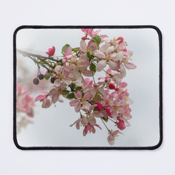 Item preview, Pink Spring Blossoms designed and sold by LizAlbroPhotos.
