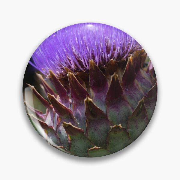 Item preview, Purple Cardoon in Full Bloom designed and sold by LizAlbroPhotos.