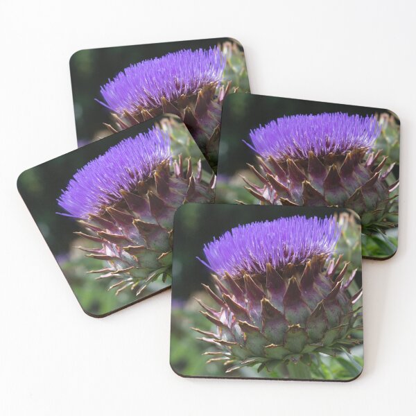 Item preview, Purple Cardoon in Full Bloom designed and sold by LizAlbroPhotos.
