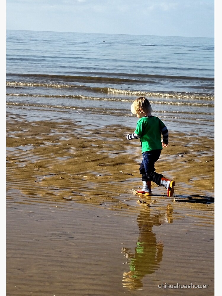 Shore run by chihuahuashower