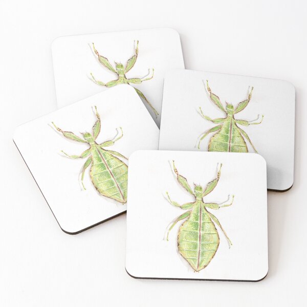 Item preview, Leaf insect designed and sold by Charlotsart .