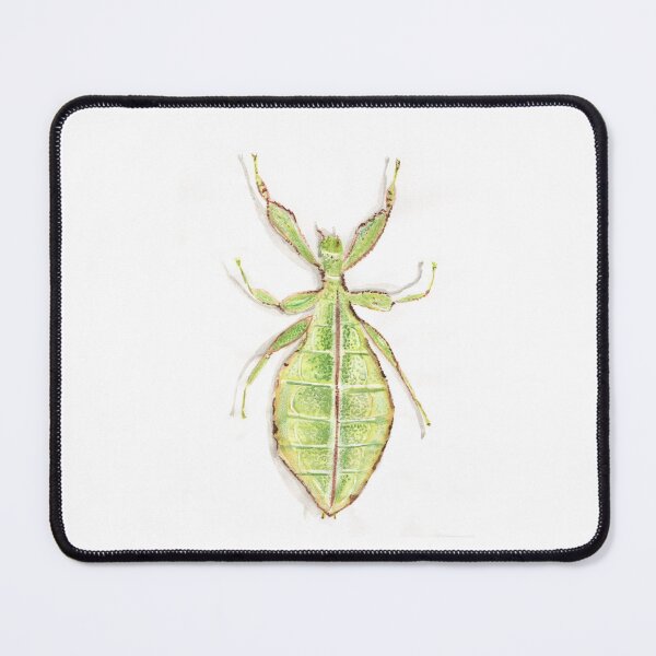 Item preview, Leaf insect designed and sold by Charlotsart .