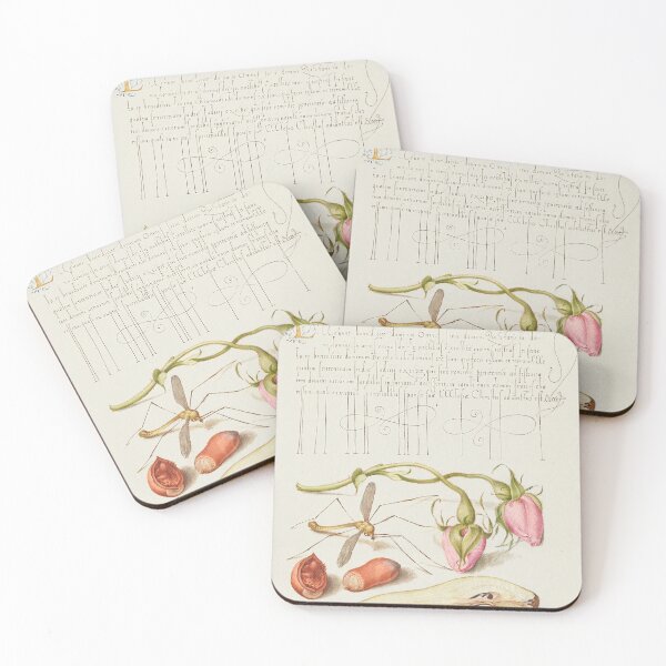 Item preview, French Rose, Crane Fly, European Filbert, and Common Pear  designed and sold by papajimmy.