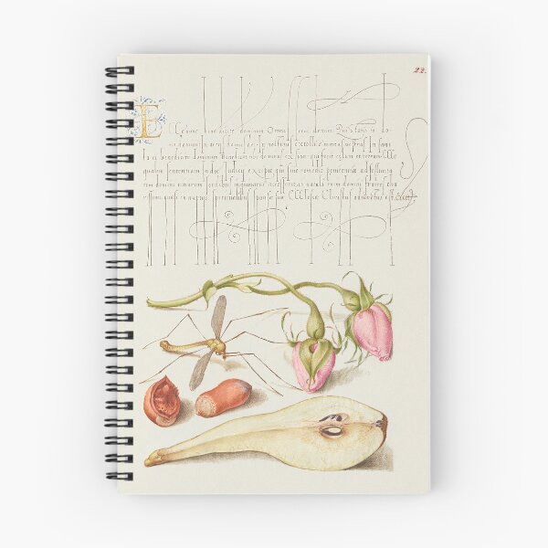 Item preview, French Rose, Crane Fly, European Filbert, and Common Pear  designed and sold by papajimmy.