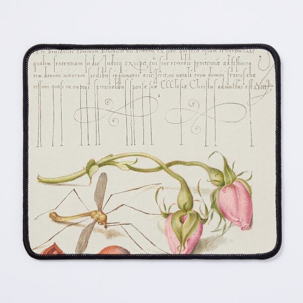 Item preview, French Rose, Crane Fly, European Filbert, and Common Pear  designed and sold by papajimmy.