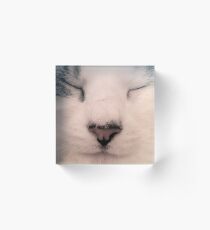 Meditating Cat Acrylic Block