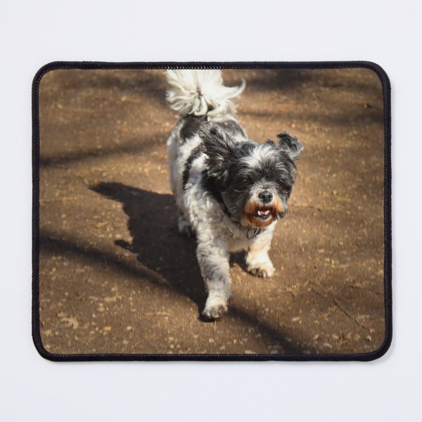 Item preview, Cute Little Dog designed and sold by StaLiVa.
