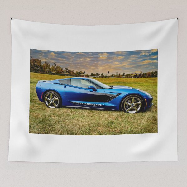Item preview, Stingray designed and sold by barkeypf.
