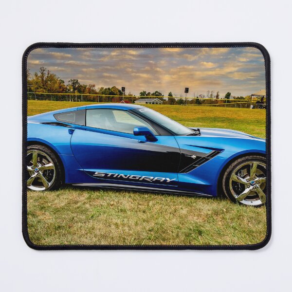 Item preview, Stingray designed and sold by barkeypf.