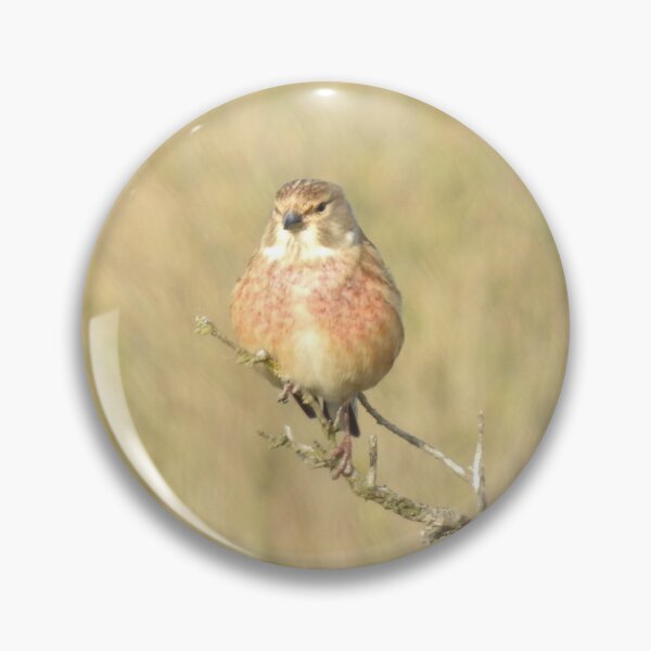 Item preview, Male Linnet perching on a twig designed and sold by TwistedClassics.