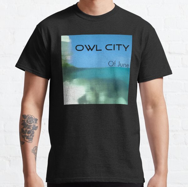 What's Your Favorite Piece Of Owl City Merch? This Is A, 50% OFF