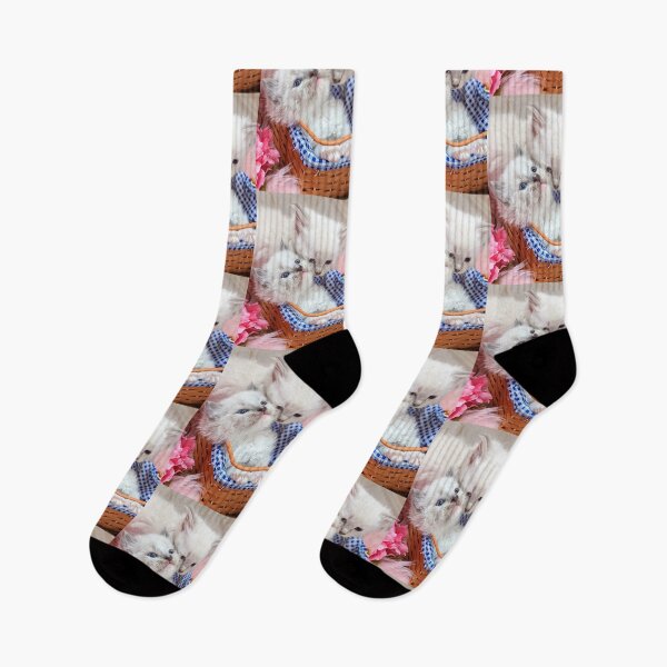 Item preview, Cute ragdoll kittens in basket designed and sold by Fluffycat2020.
