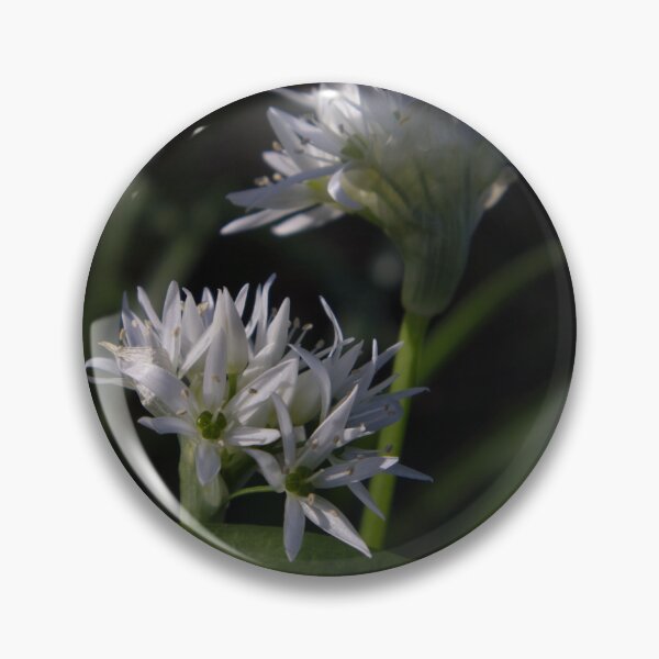 Item preview, Close up of Wild Garlic Flower designed and sold by Ann Biddlecombe.