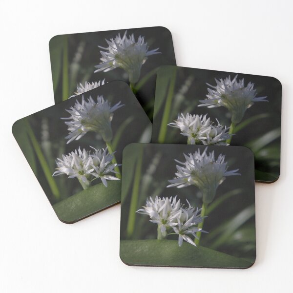 Item preview, Close up of Wild Garlic Flower designed and sold by Ann Biddlecombe.