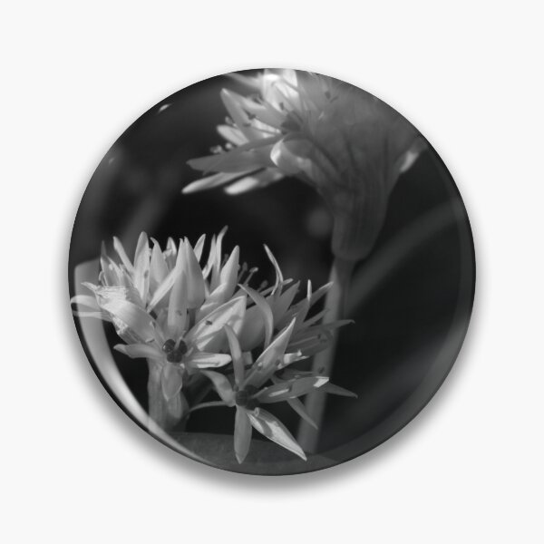 Item preview, Black and white, Close up of Wild Garlic Flower designed and sold by Ann Biddlecombe.