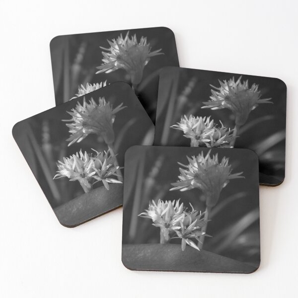 Item preview, Black and white, Close up of Wild Garlic Flower designed and sold by Ann Biddlecombe.