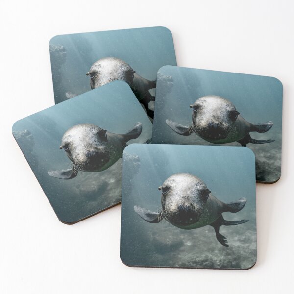 Item preview, Seal pup  designed and sold by Creative photos and art.