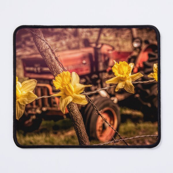 Item preview, Spring On A Wire designed and sold by Jim Love.