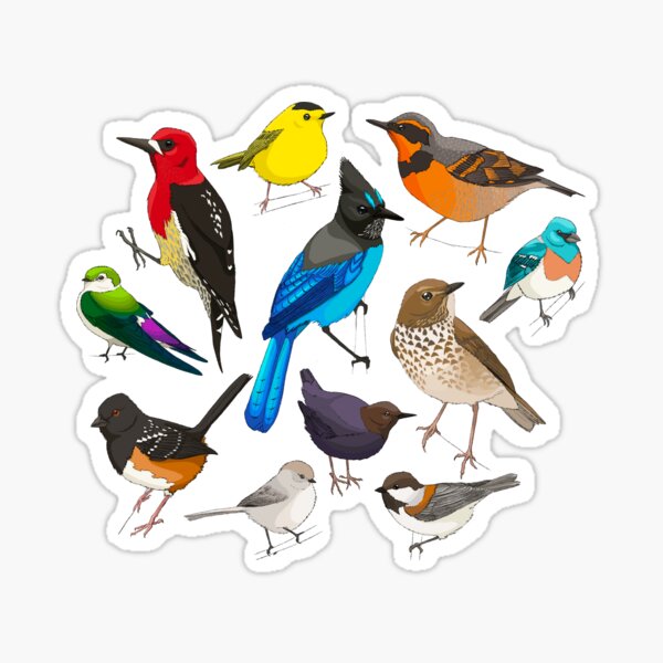 Item preview, PNW Birds designed and sold by Holly Grant.