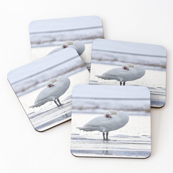 Item preview, Oh, esa almohada suave. cisne mudo designed and sold by Jouko Lehto Photography.