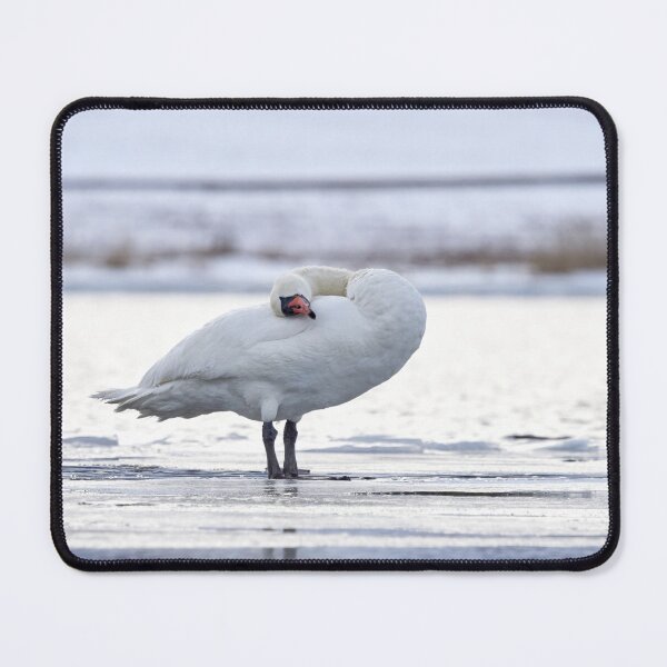Item preview, Oh that soft pillow. Mute swan designed and sold by Jouko Lehto Photography.