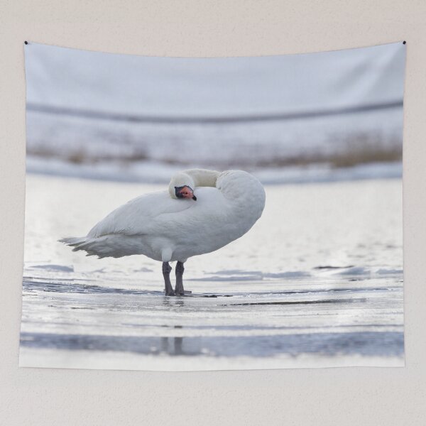 Item preview, Oh, esa almohada suave. cisne mudo designed and sold by Jouko Lehto Photography.