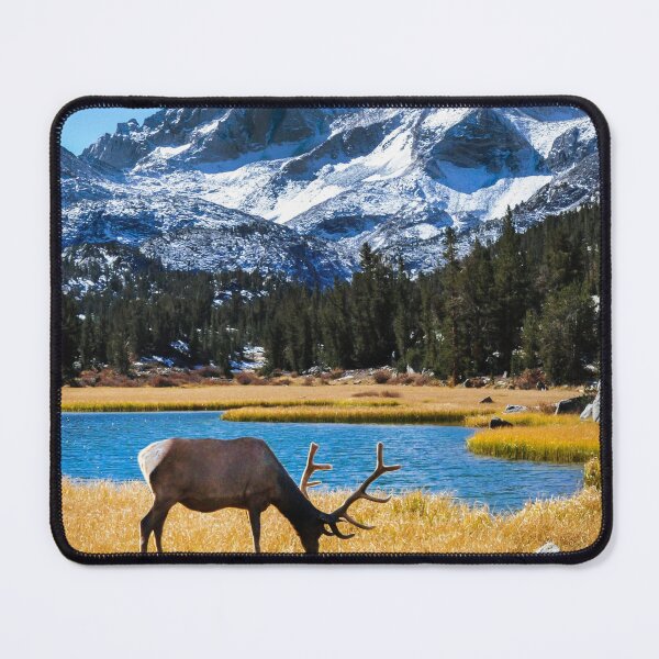 Item preview, Deer canvas, Buck Canvas,Deer,Buck,antlers, animal, animals, Deer wall art,Deer artwork, wild, Deer art, Deer painting designed and sold by eyesight4vision.
