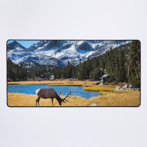 Item preview, Deer canvas, Buck Canvas,Deer,Buck,antlers, animal, animals, Deer wall art,Deer artwork, wild, Deer art, Deer painting designed and sold by eyesight4vision.