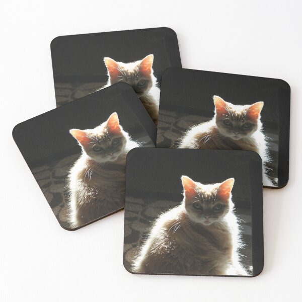 Item preview, Glowing Kitty designed and sold by SariePhotograph.