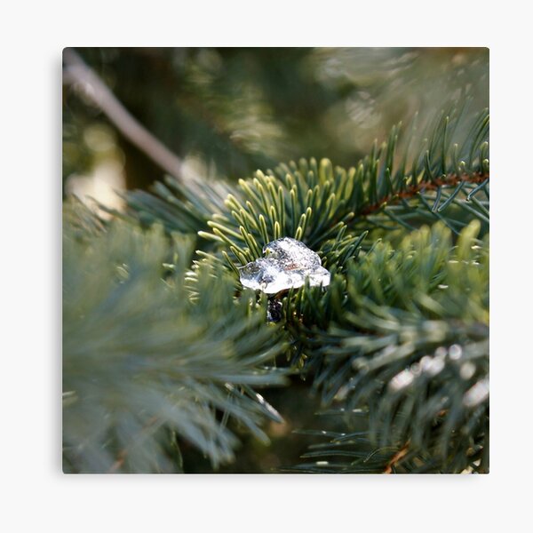 Item preview, Last piece of winter designed and sold by Bsay89.