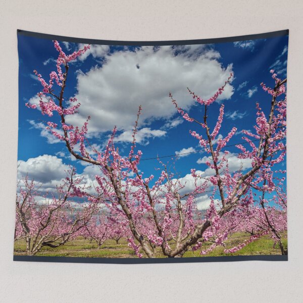 Item preview, Springtime on the plains of Macedonia designed and sold by Hercules Milas.