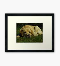 Bored Framed Print