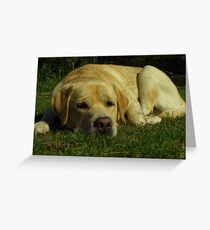 Bored Greeting Card