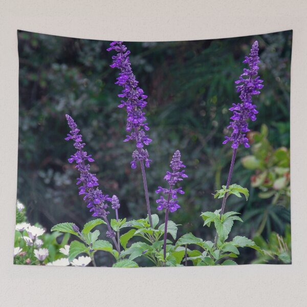 Item preview, Calling All Hummingbirds! designed and sold by heatherfriedman.