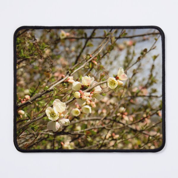 Item preview, Warm Floral decor designed and sold by StaLiVa.