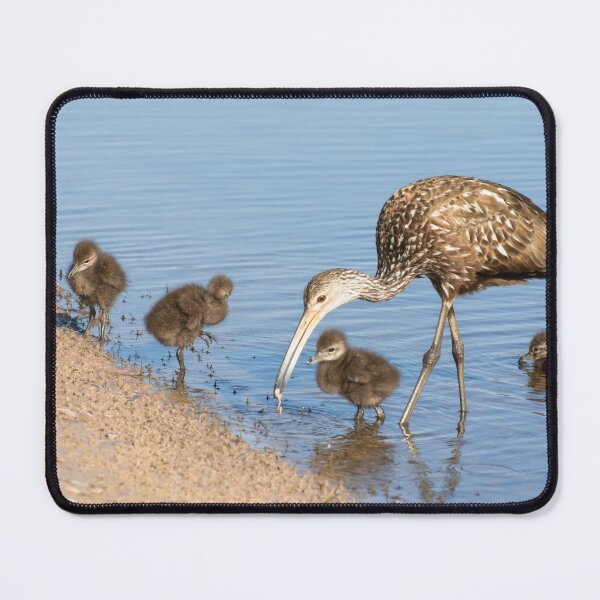 Item preview, Limpkin five babies designed and sold by Zina Stromberg.